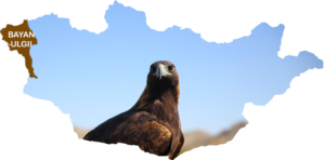 eagle mongolia